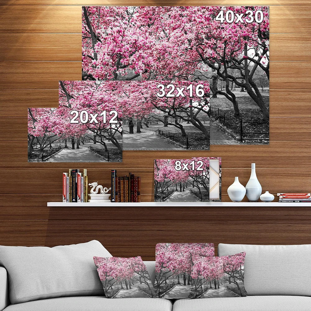 Designart Cherry Blossoms Canvas Wall Art