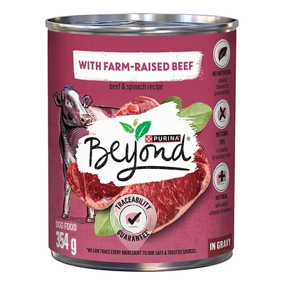Beyond Recette de Boeuf Élevé dans une Ferme et d'Épinards, Nourriture Humide pour Chiens 354 g 7"x13"