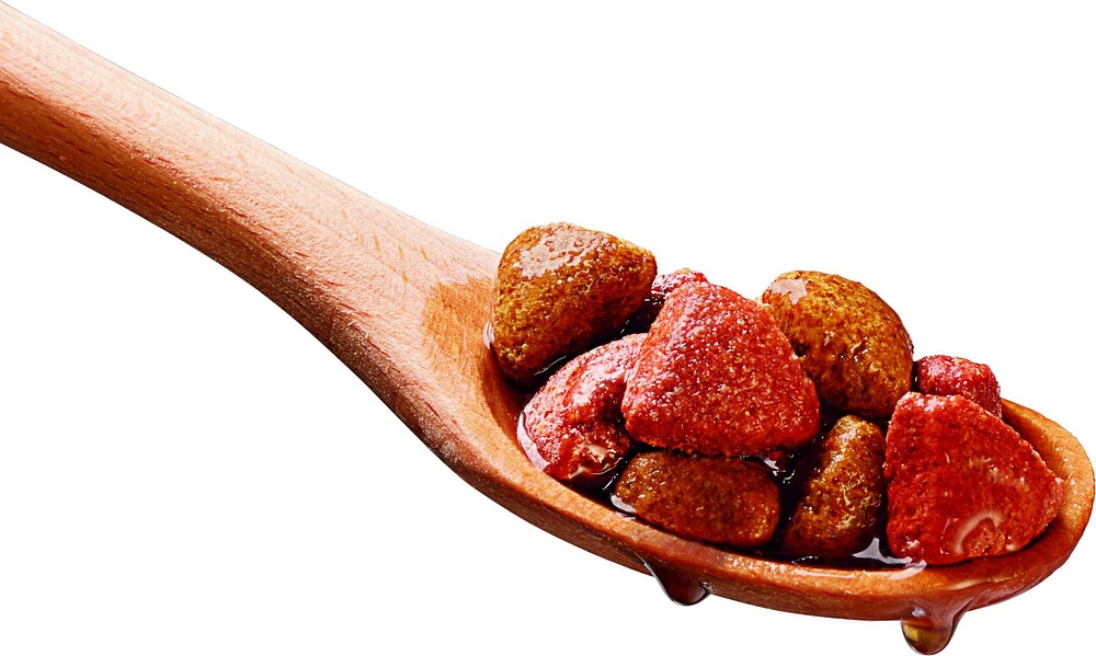 Ol' Roy Morceauz à la viande et sauce - Nourriture sèche pour chiens adultes