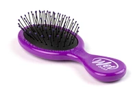 Wet Brush Mini Detangler