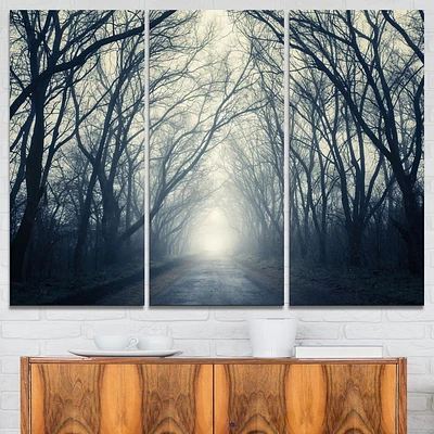 Design Art Dark Autumn Forest in Fog Modern Photography Canvas Print