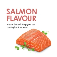 Fancy Feast Savoury Cravings Salmon Flavour, Cat Treats 28 g, 28 g