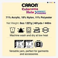 Caron® Colorama™ Halo Yarn, #5 Bulky, 8 oz/227 g, 481 Yards, Soft luxuriously textured yarn