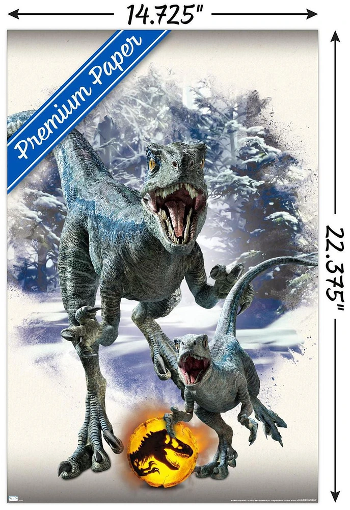 Jurassic World: Dominion - Blue and Beta Focal Wall Poster, 14.725" x 22.375" Framed