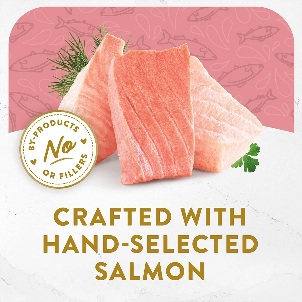 Fancy Feast Hors d'Oeuvre Steamed Salmon, Cat Appetizer 57g, 57g