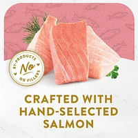 Fancy Feast Hors d'Oeuvre Steamed Salmon, Cat Appetizer 57g, 57g