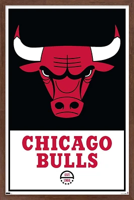 NBA Chicago Bulls