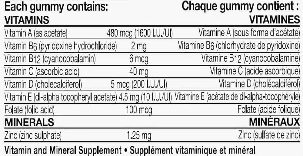 Flintstones plus Immunity Support Multivitamin Gummies