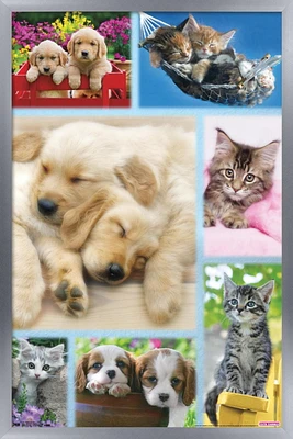 Keith Kimberlin - Puppies and Kittens Collage Wall Poster, 22.375" x 34"