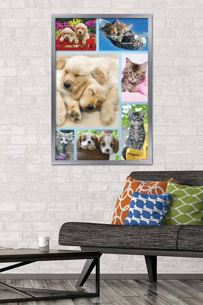 Keith Kimberlin - Puppies and Kittens Collage Wall Poster, 22.375" x 34"