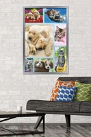 Keith Kimberlin - Puppies and Kittens Collage Wall Poster, 22.375" x 34"