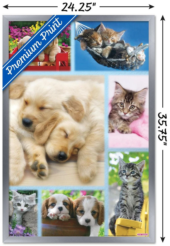 Keith Kimberlin - Puppies and Kittens Collage Wall Poster, 22.375" x 34"