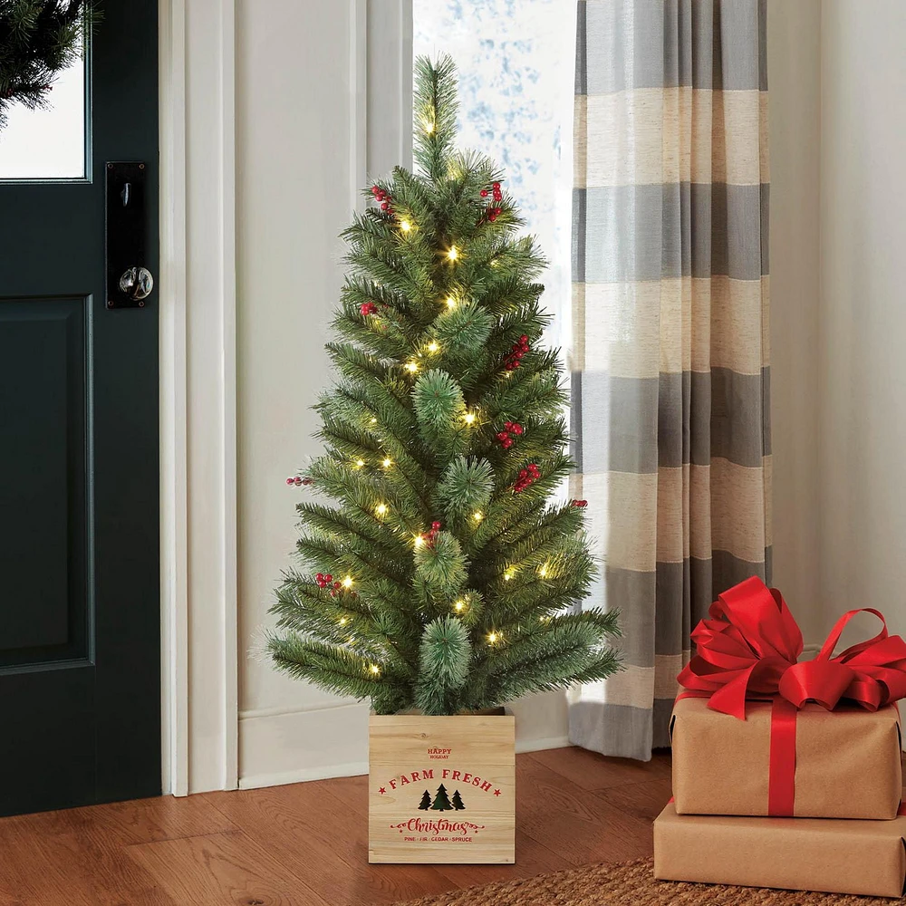 Holiday Time 4' Pre-Lit Dexter Christmas Porch Tree-Green