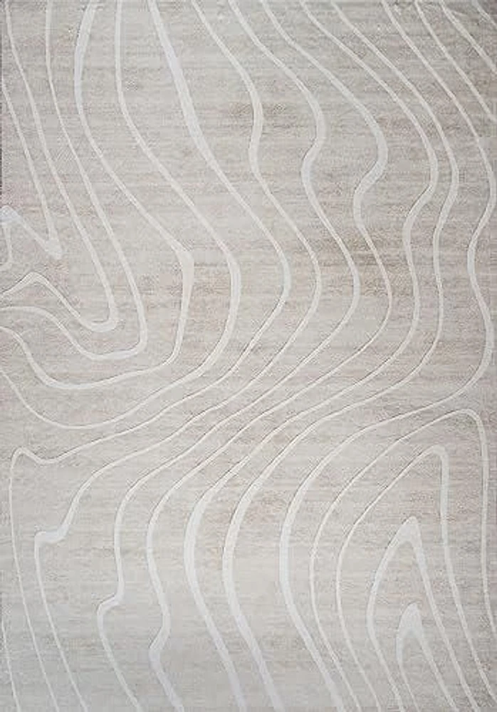 Minimalist Modern Abstract Indoor Area Rug