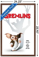 Gremlins - One Sheet Wall Poster