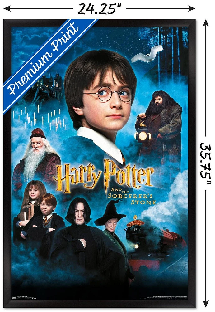 Harry Potter and the Sorcerer's Stone - Candles One Sheet Wall Poster, 22.375" x 34" Framed