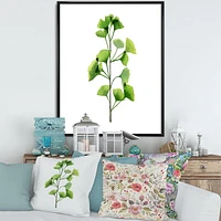 Designart Green Field Plant Foliage FLOAT FRAME WALL ART