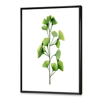 Designart Green Field Plant Foliage FLOAT FRAME WALL ART