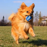 NERF Dog Deluxe AirStrike Thrower Dog Toy Medium, Compatible with 2.5" balls