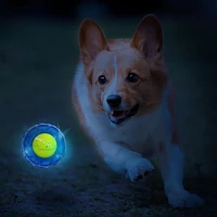 NERF Dog TPR EXO LED Ball Dog Chew Toy Blue 4in, 4in / 10cm