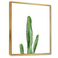 Designart Green Cactus South Western Plant Botanical Detail FLOAT FRAME WALL ART