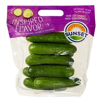 Sunset Grown Mini Cucumbers, 2 lb