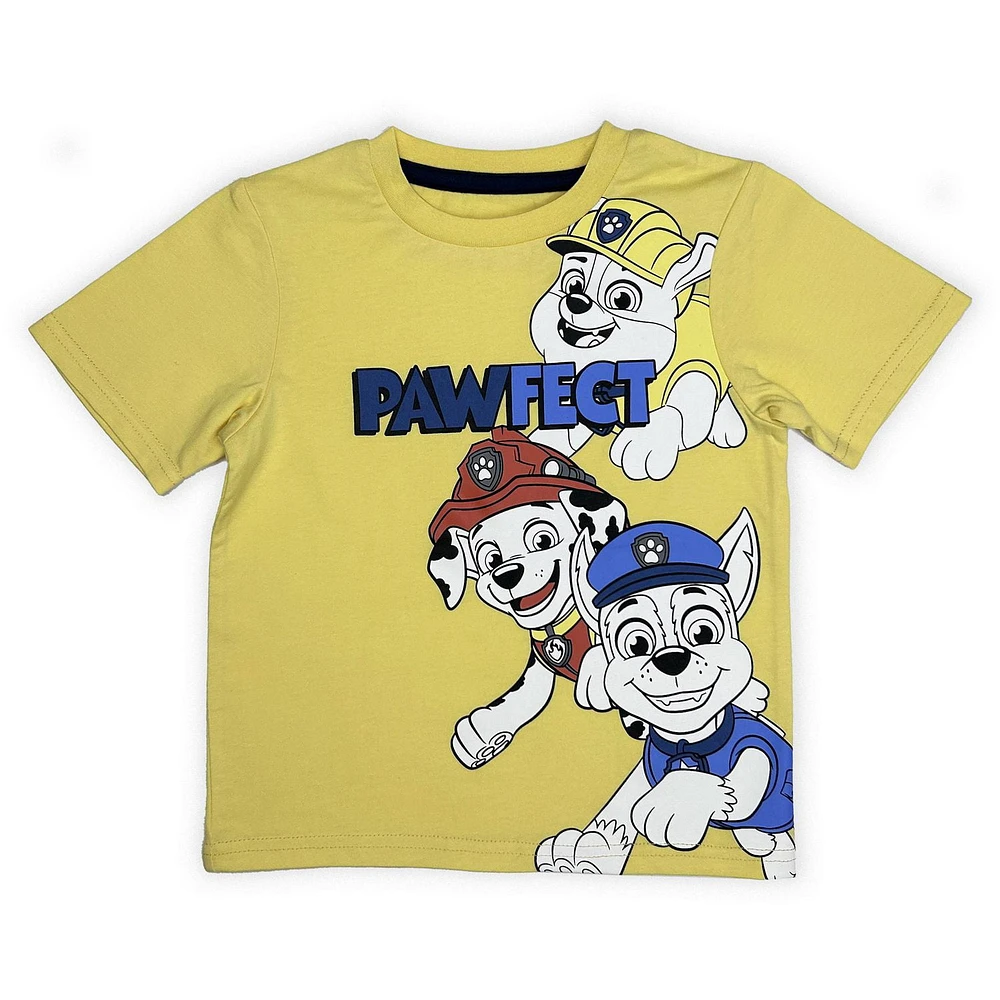 Paw Patrol Toddler boys tee shirt.