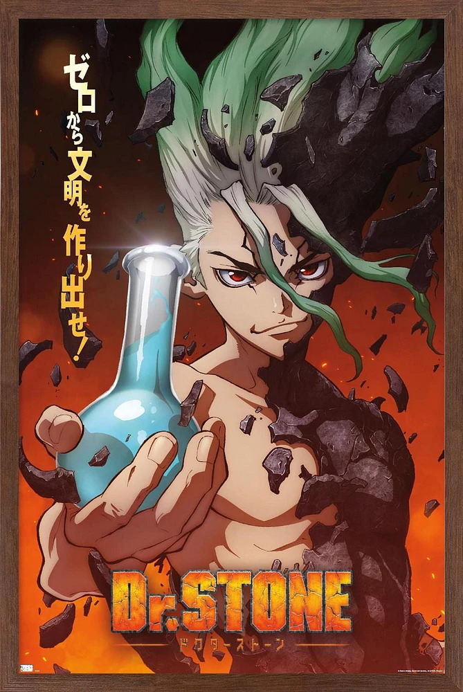 Dr. Stone - One Sheet Wall Poster, 14.725" x 22.375" Framed