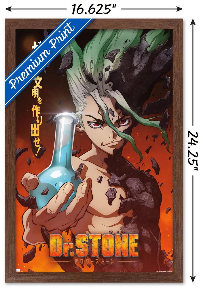 Dr. Stone - One Sheet Wall Poster, 14.725" x 22.375" Framed