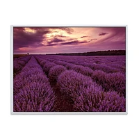 Designart Sunrise & Dramatic Clouds Over Lavender Field III FLOAT FRAME WALL ART