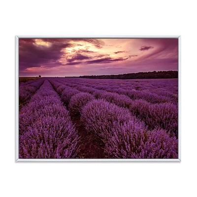 Designart Sunrise & Dramatic Clouds Over Lavender Field III FLOAT FRAME WALL ART