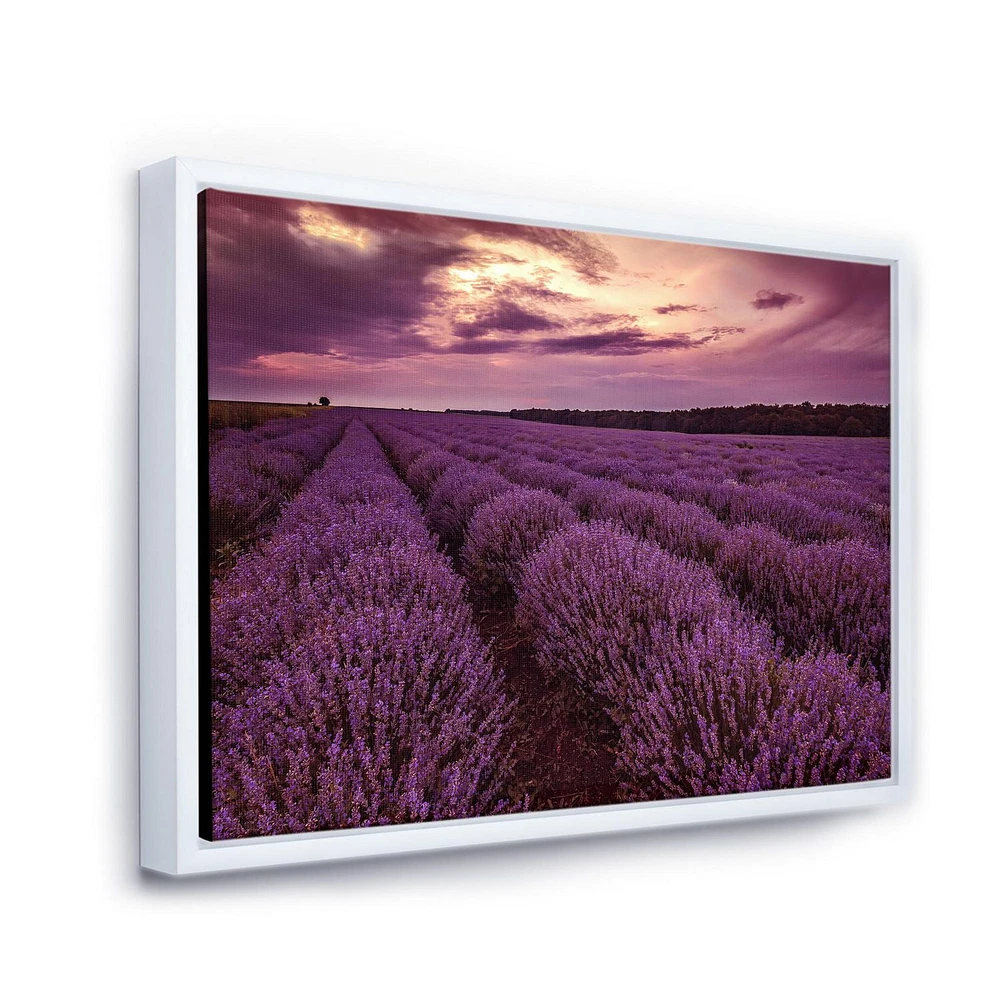 Designart Sunrise & Dramatic Clouds Over Lavender Field III FLOAT FRAME WALL ART