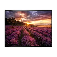 Designart Sunrise & Dramatic Clouds Over Lavender Field IV FLOAT FRAME WALL ART