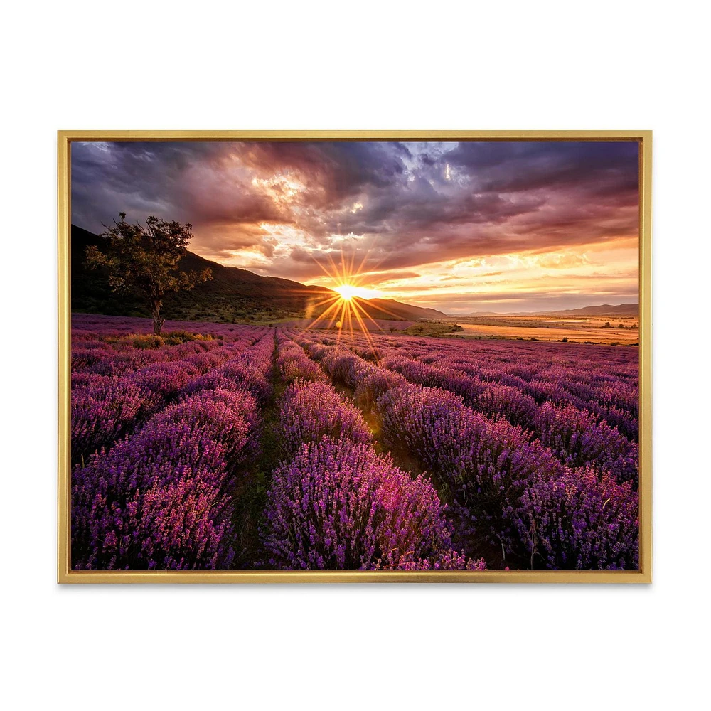 Designart Sunrise & Dramatic Clouds Over Lavender Field IV FLOAT FRAME WALL ART