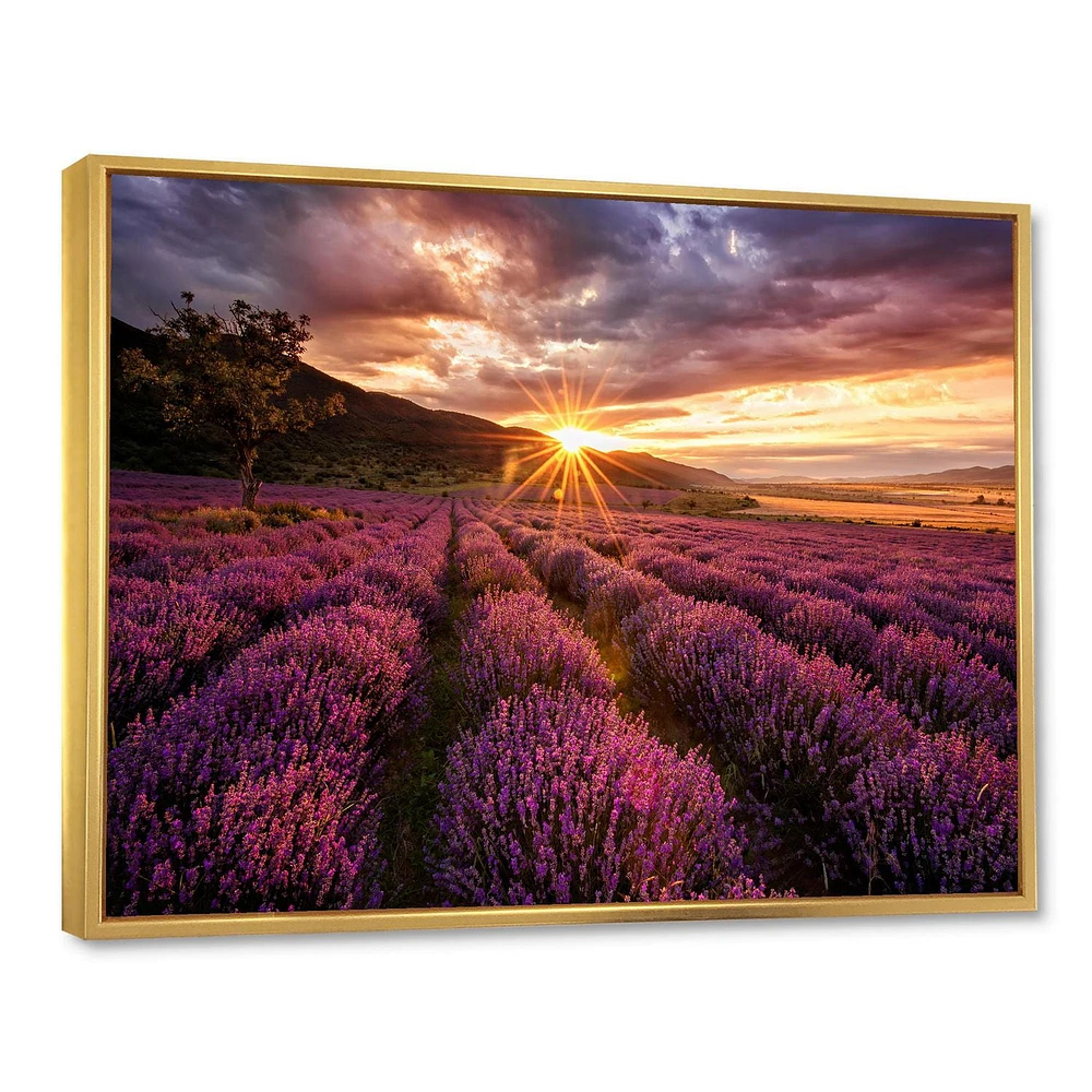 Designart Sunrise & Dramatic Clouds Over Lavender Field IV FLOAT FRAME WALL ART