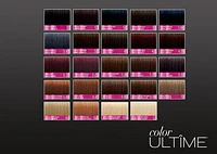 Schwarzkopf Color Ultime Permanent Hair Color Cream, 5.84 Chocolate Copper