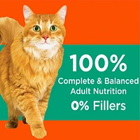 Iams Proactive Health Adult Hairball Care Dry Cat Food with Chicken & Salmon, 1.59-7.26kg