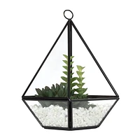 hometrends  Succulent Terrarium, 4.72in Wx6.69in Hx4.72in D