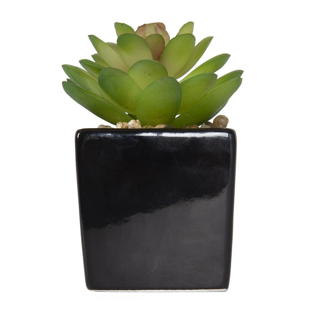 Kibo Mini Faux Succulent Black Pot, 3.75in H x 1.78in Dia