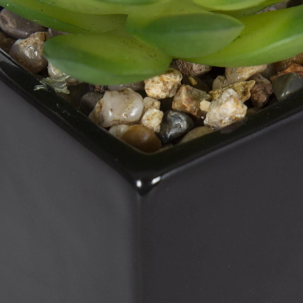 Kibo Mini Faux Succulent Black Pot, 3.75in H x 1.78in Dia