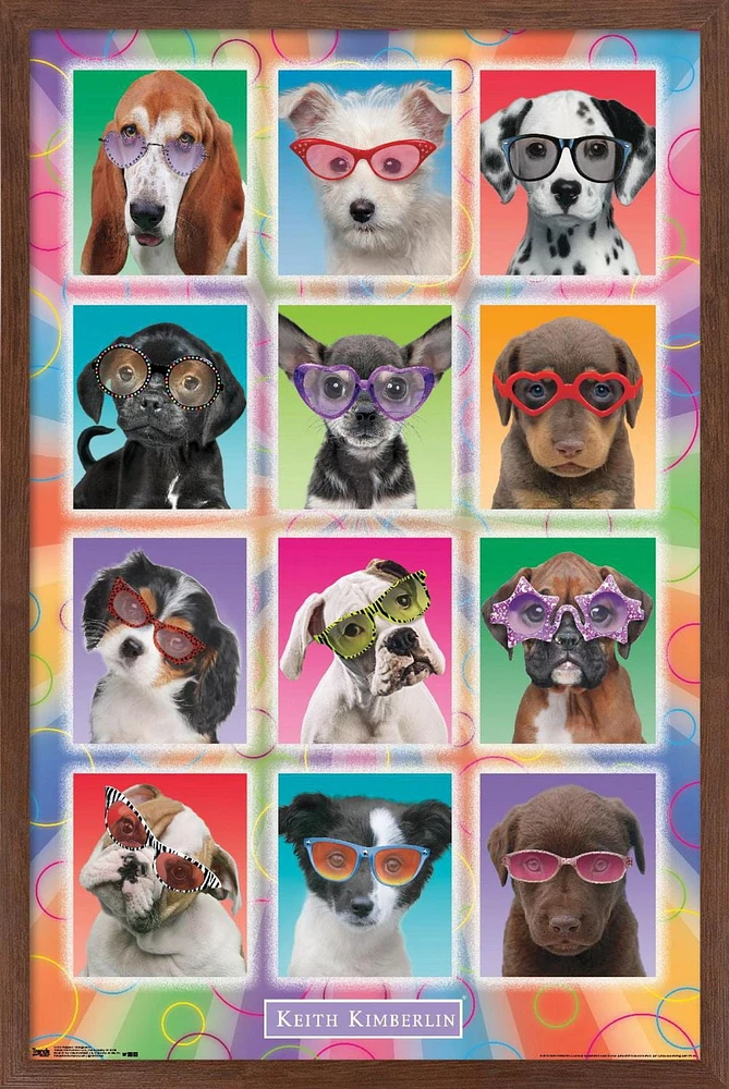 Keith Kimberlin - Puppies Sunglasses Wall Poster