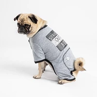 PMP pajama for dogs