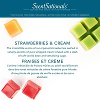 ScentSationals Scented Wax Cubes Value Pack - Strawberries and Cream, 5.0 oz (141.8g)