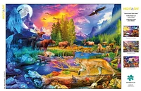 Buffalo Games - Night & Day - The Wild North - 1000 Piece Jigsaw Puzzle