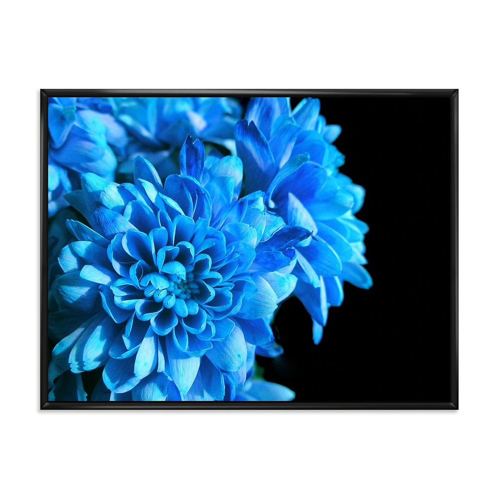 Designart Detail of Blue Flowers On Black I FLOAT FRAME WALL ART