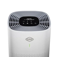 Clorox Large Room True HEPA Air Purifier 11010