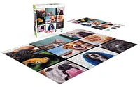 Buffalo Games - Dog Days - Pet's Virtual Hangout - 750 Piece Jigsaw Puzzle