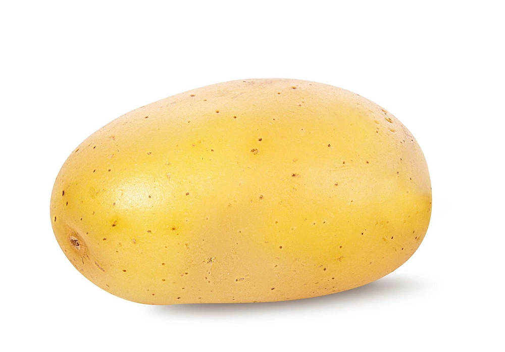 Potato, White, Sold in singles, 0.32 - 0.63 kg