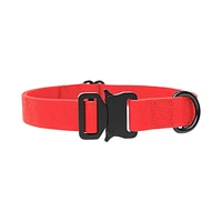 One Paw, Silicone Dog Collar with Metal Buckle, Water Repellent, Multiple sizes, Paw