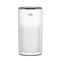 Clorox Large Room True HEPA Air Purifier 11010